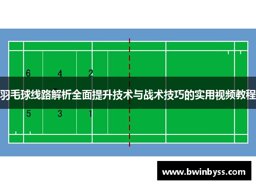 羽毛球线路解析全面提升技术与战术技巧的实用视频教程